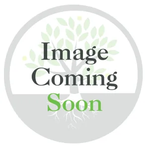 Birmingham Gold Salad w/ Gold in Center Birmingham Gold Salad w/ Gold in Center