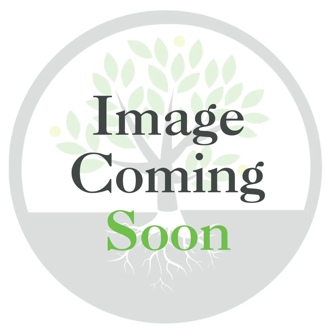 Birmingham Gold Salad w/ Gold in Center