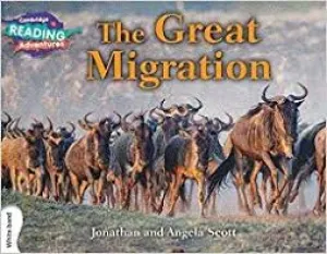 Cambridge RA White Band: The Great Migration (L23-24) Cambridge RA White Band: The Great Migration (L23-24)