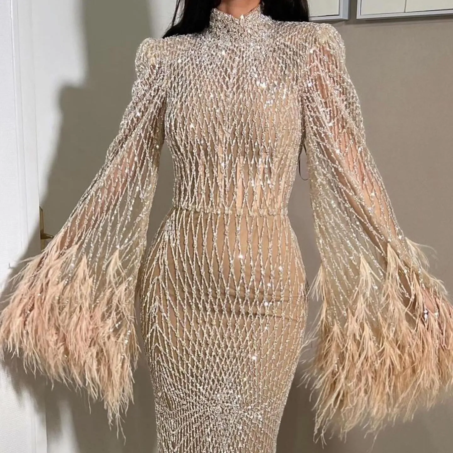 Luxury Feathers Nude Long Sleeves Evening Dress SS227