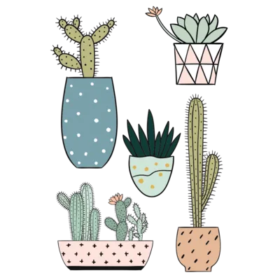 TATTYOO - Trendy Cacti